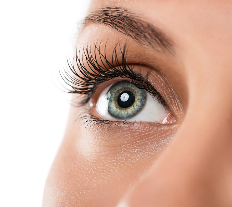 eyelashes